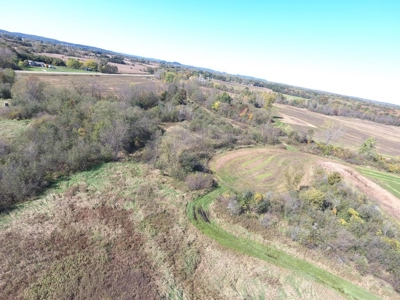 Hunting Acreage Juneau County, New Lisbon, Wi - image 26
