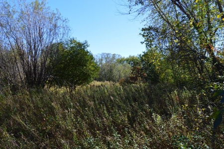 Hunting Acreage Juneau County, New Lisbon, Wi - image 28
