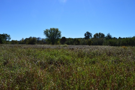 Hunting Acreage Juneau County, New Lisbon, Wi - image 29