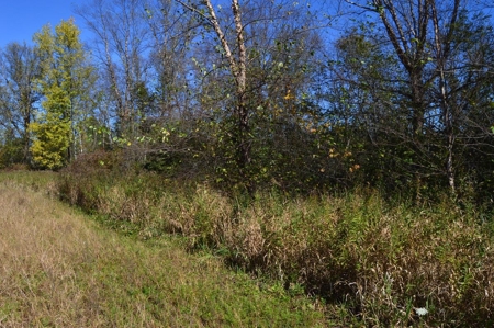 Hunting Acreage Juneau County, New Lisbon, Wi - image 11