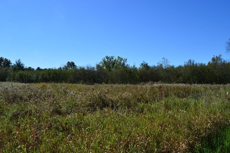 Hunting Acreage Juneau County, New Lisbon, Wi - image 30