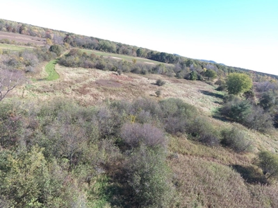 Hunting Acreage Juneau County, New Lisbon, Wi - image 4