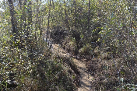 Hunting Acreage Juneau County, New Lisbon, Wi - image 16