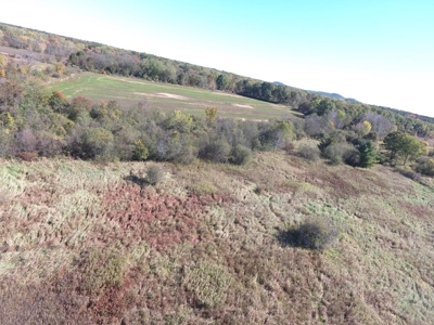 Hunting Acreage Juneau County, New Lisbon, Wi - image 5