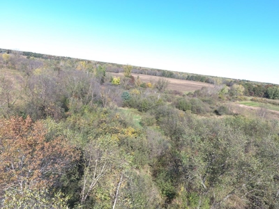Hunting Acreage Juneau County, New Lisbon, Wi - image 19