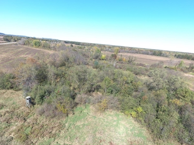 Hunting Acreage Juneau County, New Lisbon, Wi - image 8