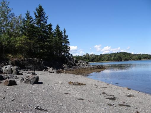 Maine Coastal Property For Sale In Lubec