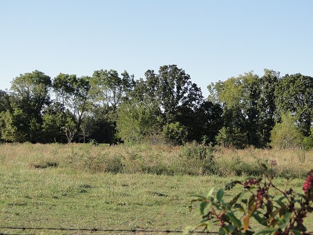 Land Scene