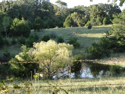 Land/pond