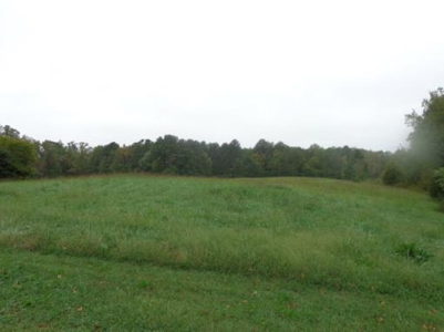 Commercial Land At I-85 / Lake Gaston Interchange - image 6