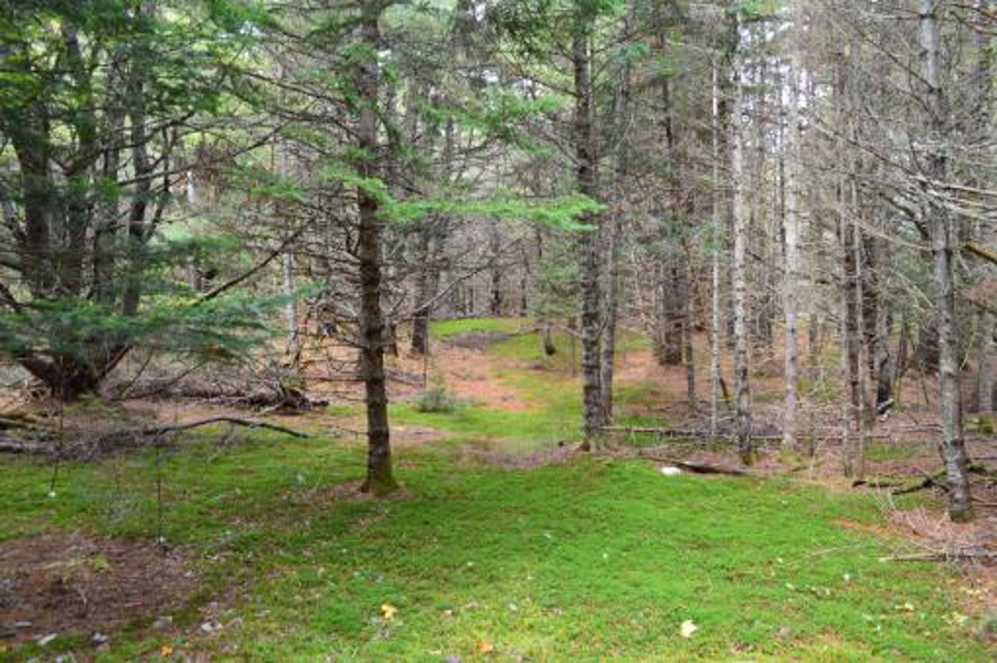 Lots Of Acreage