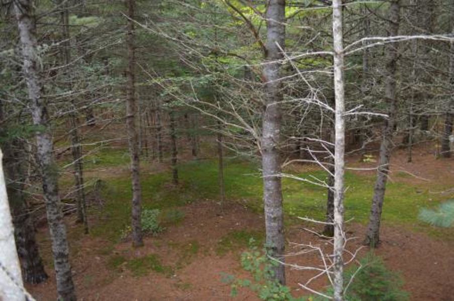 Land/lot