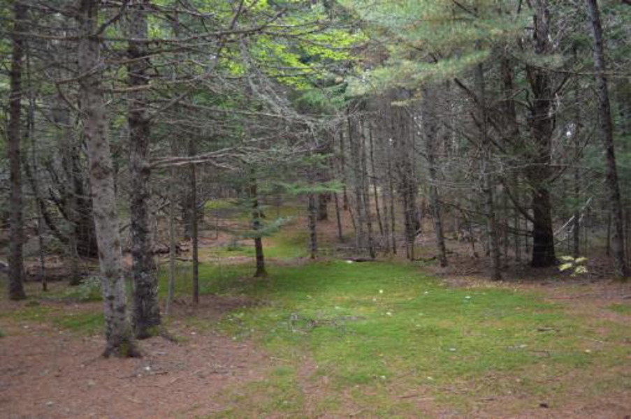 Land/lot
