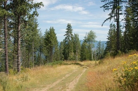 Recreational Building Lot In St. Maries, Idaho