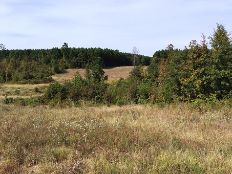 Rolling Land