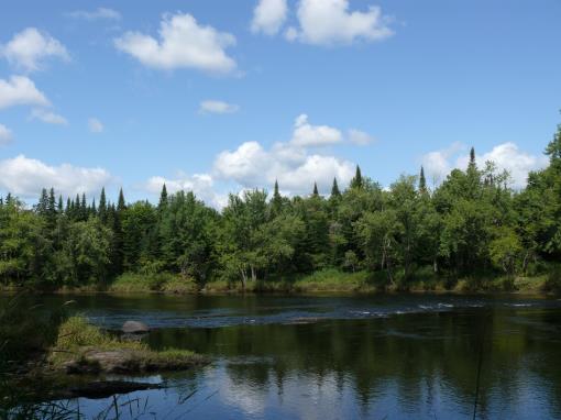 Maine River Front Land For Sale In Haynesville