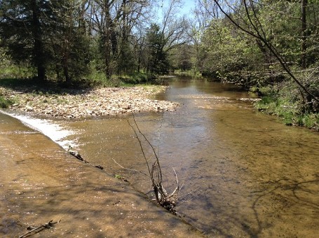 Main Picture