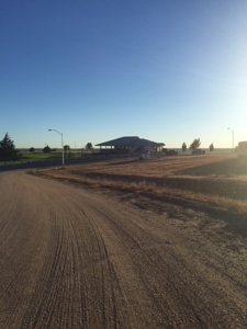Online Only Auction  16 Acres With Steel Storage Building - image 5