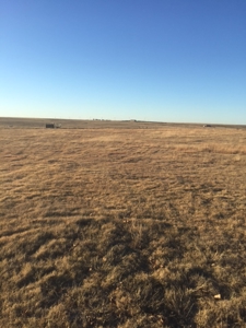 Online Only Auction  16 Acres With Steel Storage Building - image 8