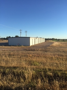 Online Only Auction  16 Acres With Steel Storage Building - image 10