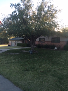 Online Only Auction Nice Home On A Golf Course - image 6