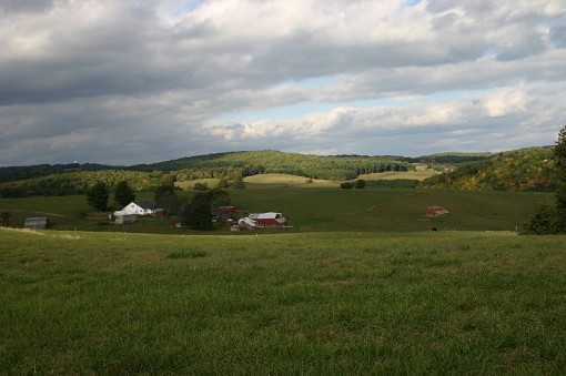 Main View
