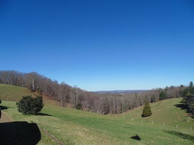 Brick Ranch In The Country for Sale at Absolute Auction! - image 14