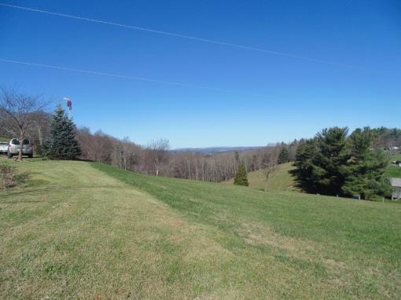 Brick Ranch In The Country for Sale at Absolute Auction! - image 2