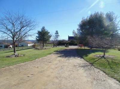 Brick Ranch In The Country for Sale at Absolute Auction! - image 9