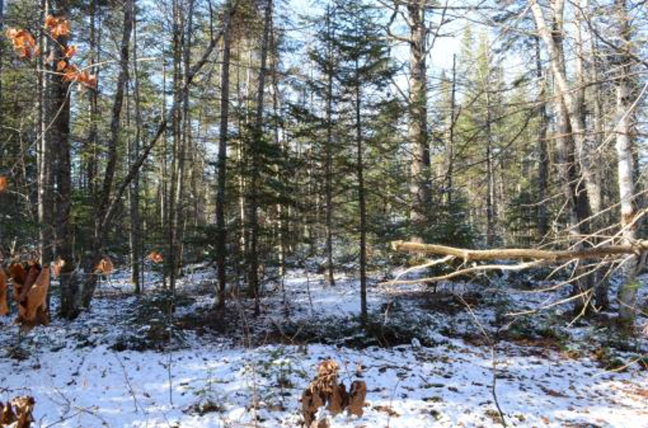 Land/lot