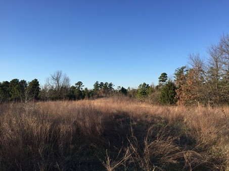Land