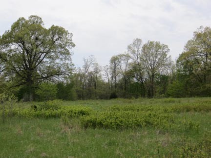 View Of Property