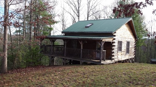 Main View