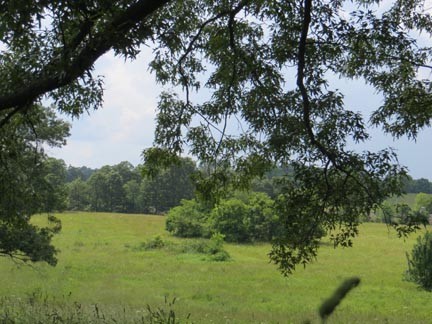 View Of Property