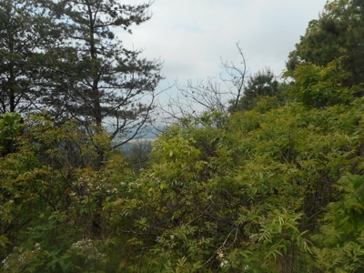 Online Auction - Hunting Recreational Land Scioto County, OH - image 8