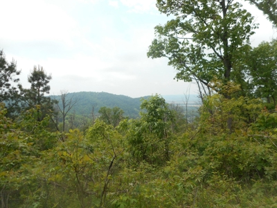 Online Auction - Hunting Recreational Land Scioto County, OH - image 10