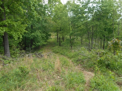Online Auction - Hunting Recreational Land Scioto County, OH - image 15