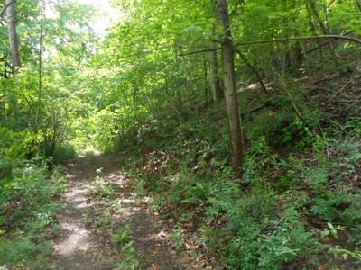 Online Auction - Hunting Recreational Land Scioto County, OH - image 4