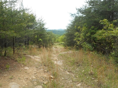 Online Auction - Hunting Recreational Land Scioto County, OH - image 9