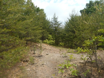 Online Auction - Hunting Recreational Land Scioto County, OH - image 7