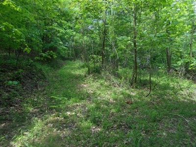 Online Auction - Hunting Recreational Land Scioto County, OH - image 16