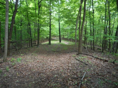 Online Auction - Hunting Recreational Land Scioto County, OH - image 24