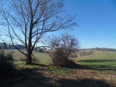 Farm Land With Creek In Floyd Va For Sale! - image 16