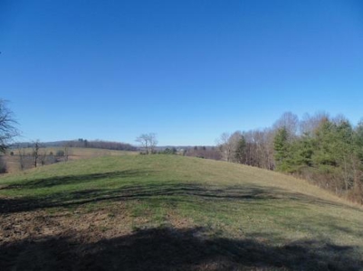 Farm Land With Creek In Floyd Va For Sale! - image 18
