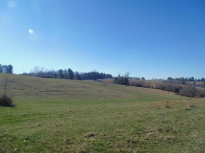 Farm Land With Creek In Floyd Va For Sale! - image 19
