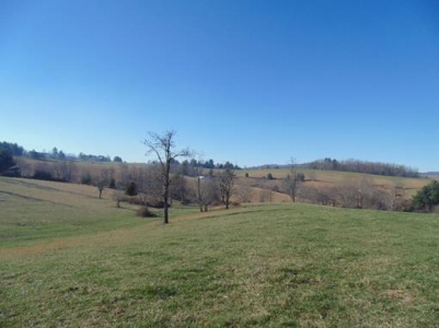 Farm Land With Creek In Floyd Va For Sale! - image 2