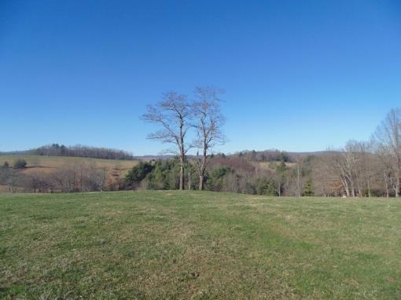 Farm Land With Creek In Floyd Va For Sale! - image 14