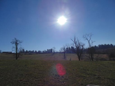Farm Land With Creek In Floyd Va For Sale! - image 20