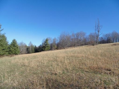 Farm Land With Creek In Floyd Va For Sale! - image 29