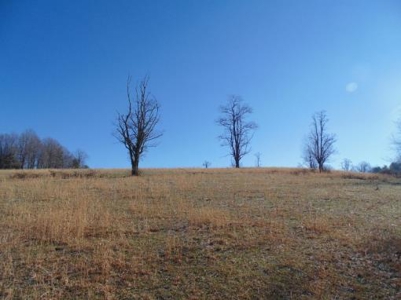 Farm Land With Creek In Floyd Va For Sale! - image 34